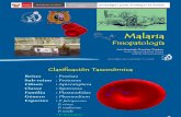 fisiopatología malaria