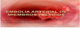 Embolia Arterial de Miembros Pelvicos 2010