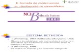1-SISTEMA BETHESDA 2001