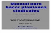 Manual Para Hacer Plantones Sindicales