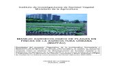 Manejo Agroecologico Plagas Agricultura Urbana