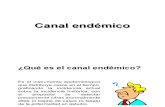 Canal end©mico