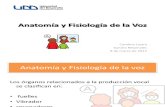Anatomía y Fisiología de la Voz