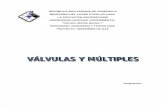 Informe Valvulas y Multiples
