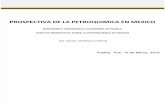 Prospectiva de La Petroquimica en Mexico - Ing. Rafael Beverido Lomelin