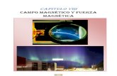 Chapter Viii. f III. Fuerza Magnetica y Campo Magnetico
