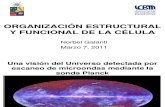 Clase 1 Organizacion Estructural y Funcional de La Celula