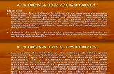Cadena de Custodia (1)