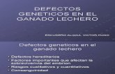 Defectos Geneticos en El Ganado Lechero
