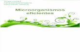 Microorganismos FINAL