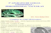 Aparato de Golgi, Lisosomas, Vacuolas, Peroxisomas