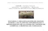 Plantas medicinales de Tierra de Campos y Montes Torozos