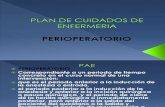 Plan de Cuidados de Enfermeria Pre Opera to Rio