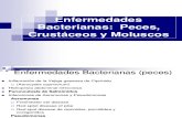 Clases 9-10-11 bacterias (1)