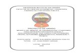 Manual de Org y Funciones Para Ent Descentraliza AUDITORIA UMSA