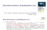 Sindromes Epilepticos (J.C. Serra)(2)