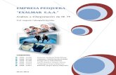 Pesquera Exalmar s.a.a. (3)