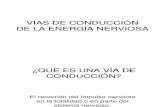 5-VIAS DE CONDUCCION