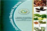 Manual de Plantas Medicinales Para Curar Animales Domes Ticos