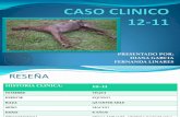 Presentacion Caso Clinico Laminitis