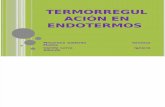 Termorregulación en endotermos