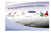 Libro de Programacion Web
