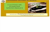 Cultivo de Plantas Medicinales por Q.F. Marilú Roxana Soto Vásquez
