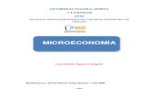 Modulo de Microeconomia