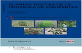 INTA Plantas Toxicas de Corrientes