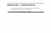 Matlab Robotica