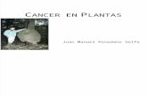 Cancer en Plantas