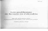 Los Problema de La Raza en Colombia - Estudio Intro Duc to Rio