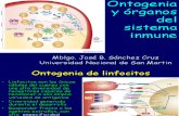 Ontogenia y Organos Del Sistema Inmunologico