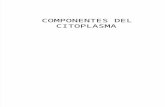Componentes Del Citoplasma[1]