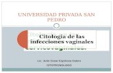 Citologia de Infecciones Vaginales