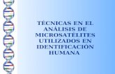 Tecnicas en el analisis de microsatelites utilizados en identificación humana