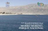 Guia de La Biodiversidad en La Peninsula de Mejillones. Morro Moreno, Parque Nacional
