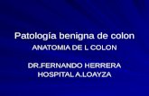 Abril 04 - Patologia Benigna Del Colon