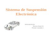 Sistema de Suspension Electronico-OfICIAL
