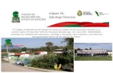 El Colegio de Bachilleres Del Estado de Veracruz cobaev 54 Jalacingo