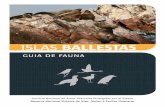 Reserva Nacional Sistema de Islas, Islotes y Puntas Guaneras 2011
