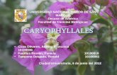 Expo Caryophyllales FINAL