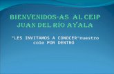 Proyectos Ceip Juan Del Rio Ayala