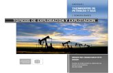 Capitulo i Yacimientos de Petroleo y Gas (1 Generalidades)