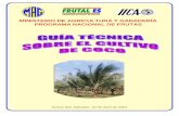 2001. IICA. Guía Técnia del Cultivo de Coco