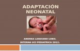 Adaptacion Neonatal