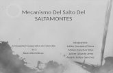 Mecanismo Del Salto Del SALTAMONTES