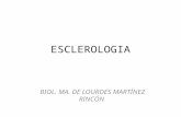 ESCLEROLOGIA Unidad 3 Para Examen Mayo 23 de Mayo