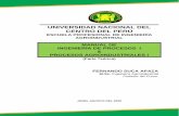 Procesos I - Manual del Curso de Ingeniería de Procesos I & Procesos Agroindustriales (Teoría)