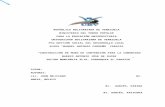 PROYECTO DE CONSTRUCCIÓN DE UN MURO DE CONTENCIÓN EN EL SECTOR MONTAÑITA ALTA, CARACAS, VENEZUELA